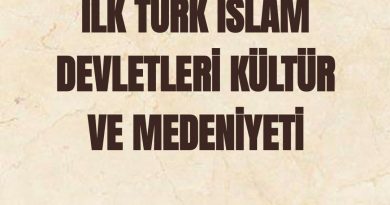Türk İslam devletleri